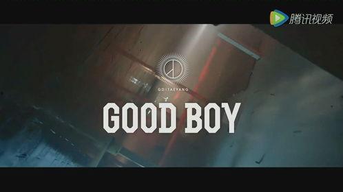 good视频在线观看,Good视频在线观看指南