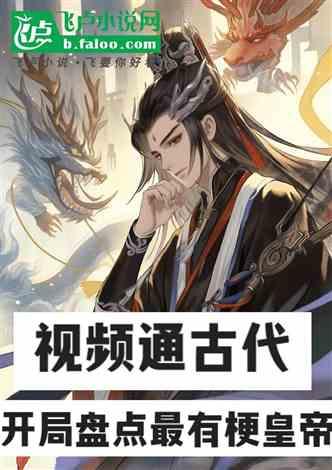 图片 视频 小说,小说中的视觉奇遇