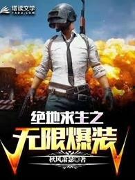 小说视频在线,穿越时空的奇幻之旅