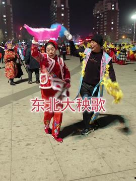 大秧歌 视频,传奇家族的兴衰传奇