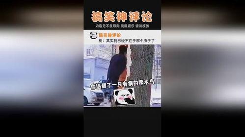 企鹅搞笑视频,欢乐海洋的欢乐时光
