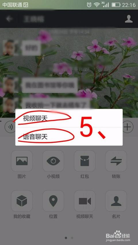 视频语音聊天,视频语音聊天的魅力与启示