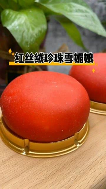 雪媚娘视频,甜蜜诱惑，冬日里的美味佳肴