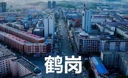 鹤岗视频,一座城市的转型与重生