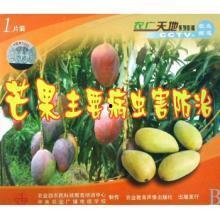 芒果树视频,探寻自然与生命的奇妙之旅