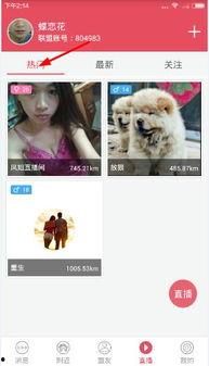 微福利视频,揭秘日常生活中的小确幸