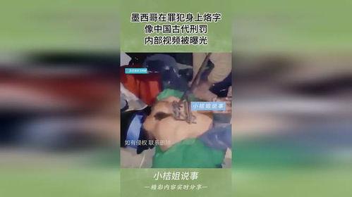 惩罚视频,揭秘惩罚视频背后的真相与警示