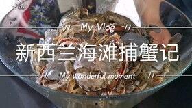 捕蟹视频,海洋捕捞的生动写照