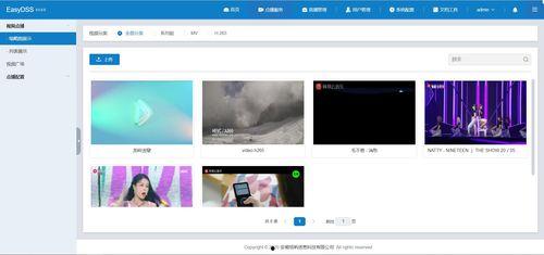 点播视频,点播视频深度概述