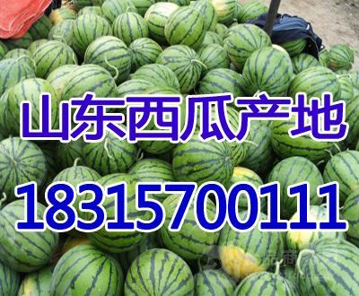 角瓜今日批发价格,今日角瓜批发价格行情一览