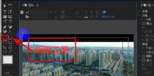 青青草视频中文字幕,探寻自然之美与生命奥秘