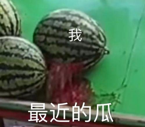曹县在线吃瓜爆料,揭秘网络吃瓜背后的故事与真相
