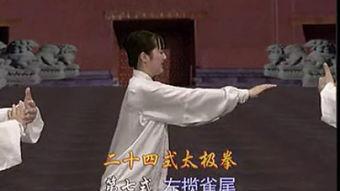 24式太极拳分解教学视频,循序渐进，掌握经典拳法精髓