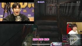 打call 视频,动感旋律下的青春活力展现