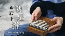 拇指琴视频,跟随视频领略指尖上的音乐魅力