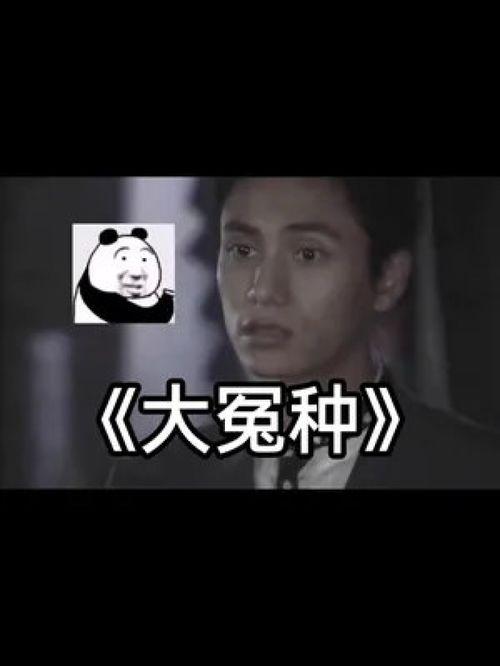 特别搞笑视频,笑到肚子疼！盘点年度最搞笑视频大盘点