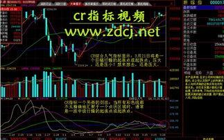 cr视频,精彩瞬间与核心观点一网打尽