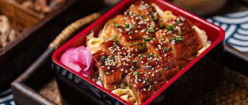 钓鳗鱼视频,跟随视频学钓技