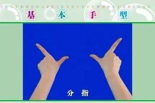 手势视频,动作背后的语言密码