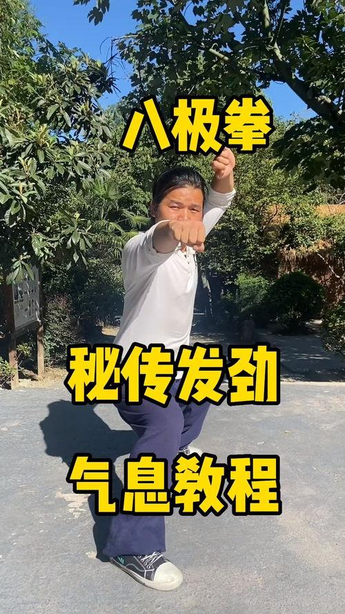 八极拳视频,传统武术与现代视角下的力量与技巧展现
