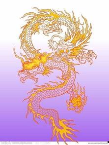 龙的视频大全,龙的视频大全精彩回顾