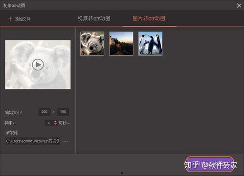 视频动图,XX现象背后的惊人真相