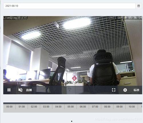 监控怎么回放视频,捕捉瞬间，还原事件全貌