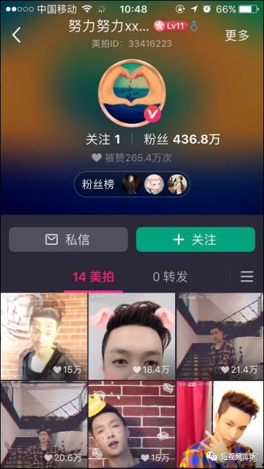 都有什么视频,各类视频内容概览