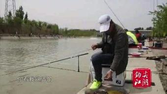 看钓鱼视频,跟随镜头探寻钓鱼的乐趣与技巧