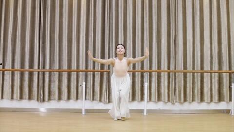 中国舞教学视频,中国舞教学视频精华解析