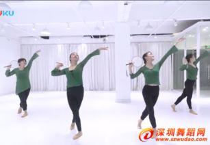 中国舞教学视频,中国舞教学视频精华解析