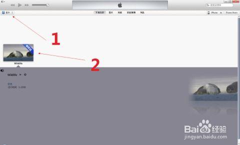 苹果视频下载,轻松获取海量精彩内容
