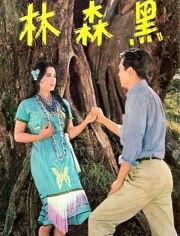 黑森林视频,揭秘神秘森林的奇幻之旅