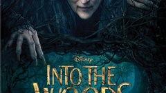 黑森林视频,揭秘神秘森林的奇幻之旅