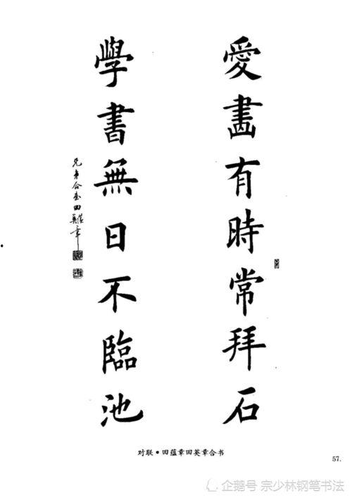 书法讲解视频,跟随视频领略笔尖下的艺术魅力