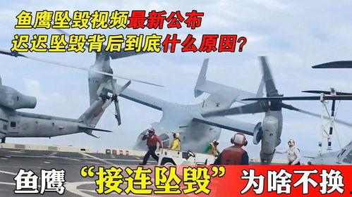 鱼鹰视频,捕捉生活精彩瞬间，带你领略视觉盛宴