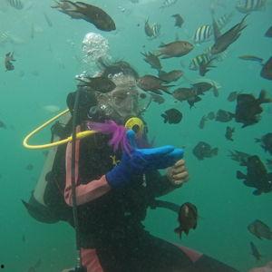 海底潜水视频,海底潜水奇观全景回顾