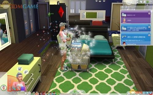 模拟人生4在家分娩视频,见证家庭温馨时刻——在家分娩视频回顾