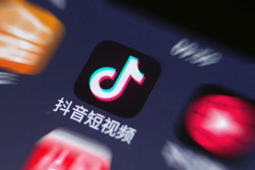 制作抖音短视频,轻松吸粉，玩转短视频时代