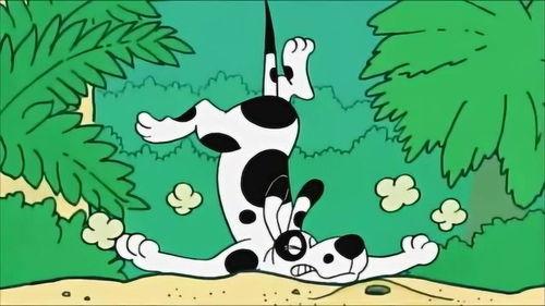 食蚁兽吃蚂蚁视频