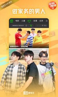 爱奇艺视频网站,打造多元化娱乐生态，引领网络视频新潮流