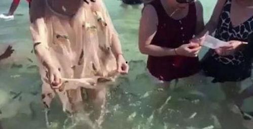 海边抓鱼视频,海边抓鱼欢乐时光