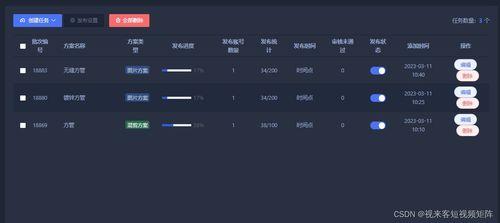 视频发布平台,内容创作与传播的奥秘