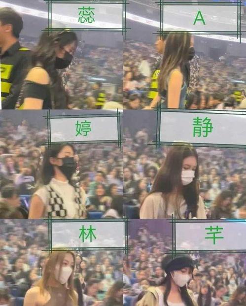 吃瓜爆料女团视频大全集,揭秘娱乐圈幕后风云