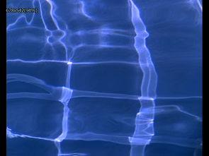 水波纹视频,视频中的流动诗篇