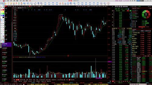 炒股视频,实战技巧与策略深度解读