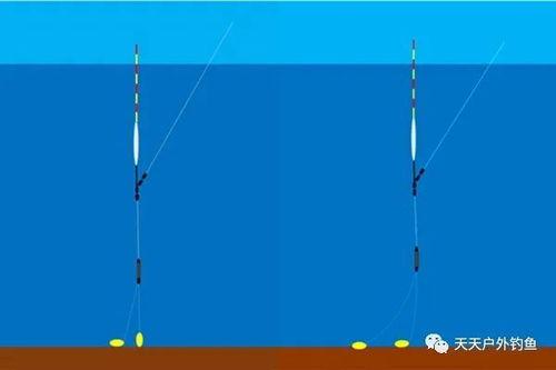 仰漂技巧视频教程