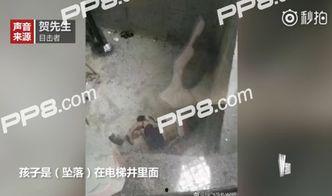 尿了视频,宝宝如厕训练全过程