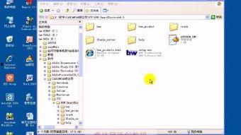 vc视频,创新与变革的视觉盛宴