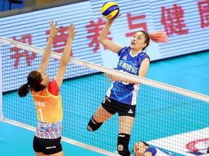 二传视频,视频教学中的亮点与误区